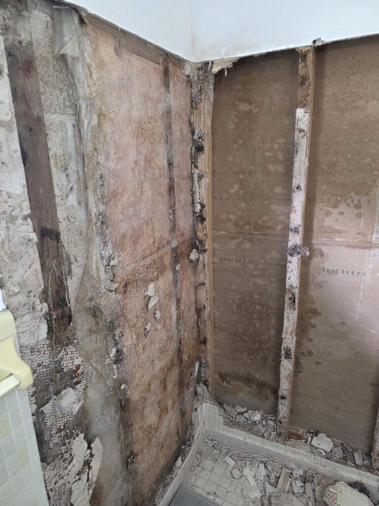 Rotted shower wall found during demo