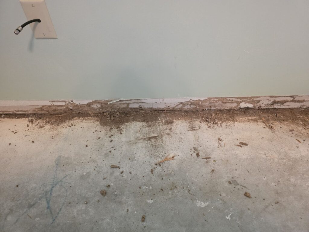 Damaged baseboard and floor edge